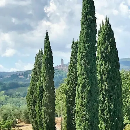 Podere Remignoli Lejlighed *