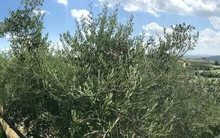 Podere Remignoli *